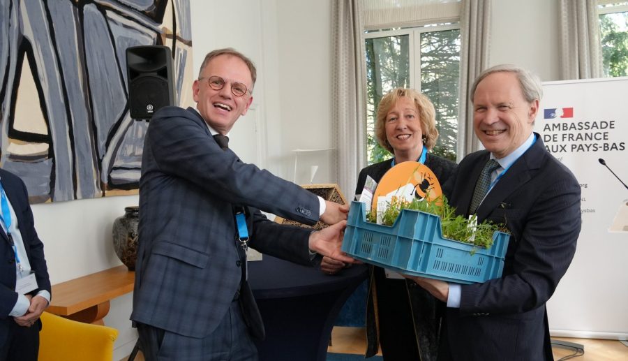 Directeur Omgevingsdienst Haaglanden