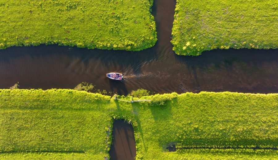 Provinciale Handreiking Waterspitsmuis - onderzoeksinspanning
