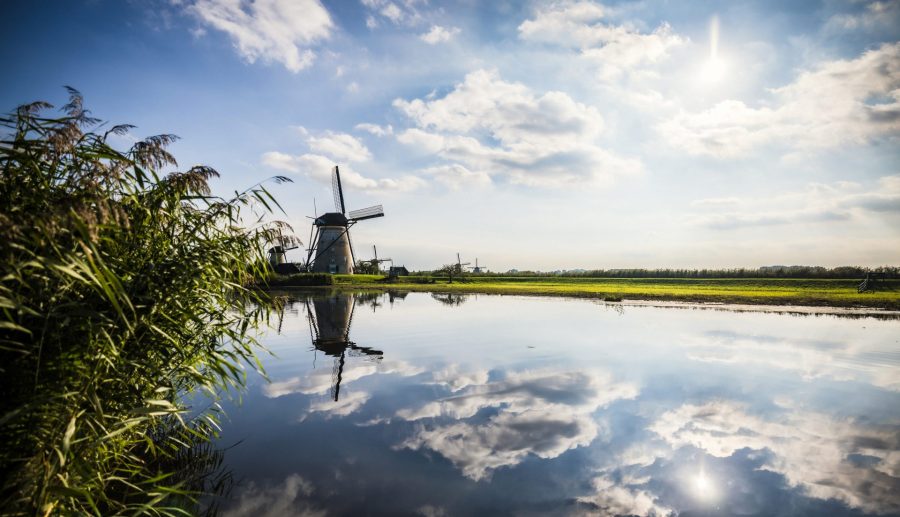 Rivier met riet aan de zijkant en in de verte verschillende molens.