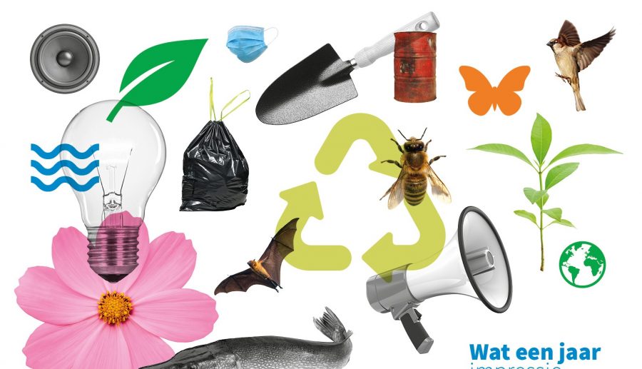 Diverse milieugrelateerde afbeeldingen zoals bloemen, lampen, recycle teken