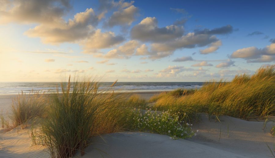 Uitzicht op zee met duinen op de voorgrond.